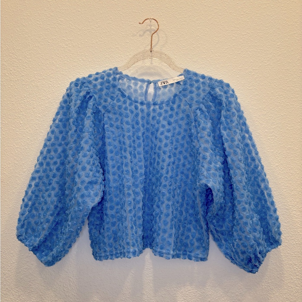 Zara Mesh Baby Blue Blouse
